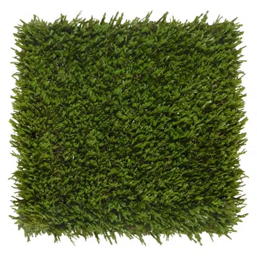 K9Grass Sport